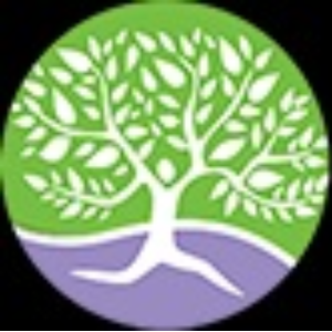 Fotos - Alexandria Chiropractor - King Street Wellness - 1
