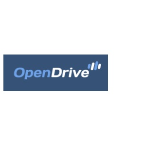 Open Drive